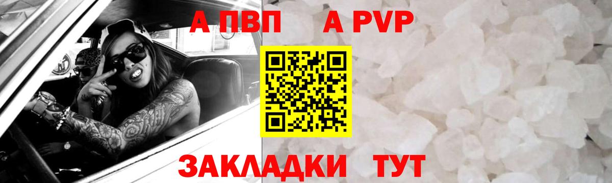 Alfa_PVP СК КРИС  Вход с VPN  Сосновый Бор  Alfa_PVP крисы CK  A-PVP СК КРИС 