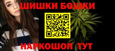 СК Новодвинск