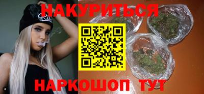 СК Новодвинск