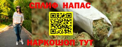 СК Новодвинск