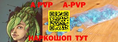 СК Новодвинск